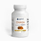 Chaga Mushroom